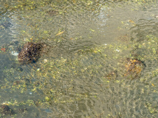 光が射し込む河川の風景