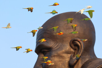 A flock of colorful parrots are flying past the Buddha statue.