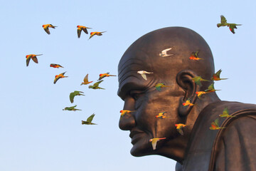 A flock of colorful parrots are flying past the Buddha statue.