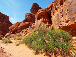 Valley of Fire is one of the most incredible natures wonder of Southern Nevada with plenty of red rocks and ancient petroglyphs   