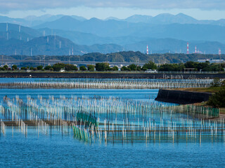 牡蠣養殖棚の杭が並ぶ浜名湖の風景