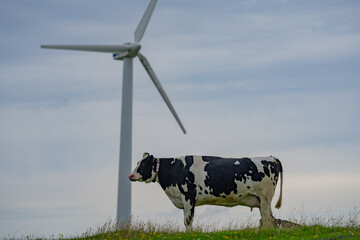 Eco farming. Wind generator power. Green energy concept. Eco farm. Wind energy. Eco farming. Green...