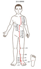 鍼灸の経穴、足の少陰腎経、ツボのイラスト