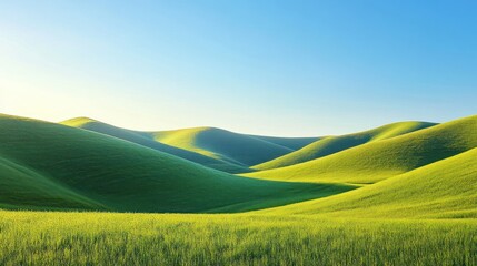 Rolling green hills and a field of grass under a clear blue sky.