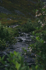 stream in the mountains 