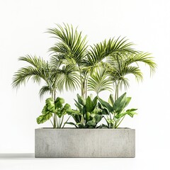 Obraz premium Tropical vegetation for concrete planters with white background, for architectural facades, inspiration on babilonian gardens,generative ai