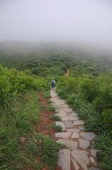 Fototapeta premium Foggy mountain hiking trail with solitary hiker on stone path
