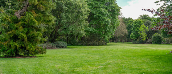 Panoramic background texture of a lush green lawn surrounded by diverse mature trees. Peaceful...