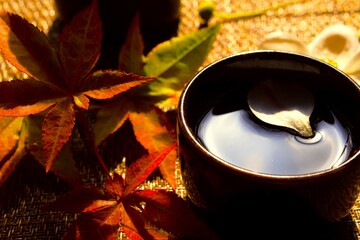 Sake, Japanese rice wine, alcoholic beverage of Japanese origin made by fermenting rice
