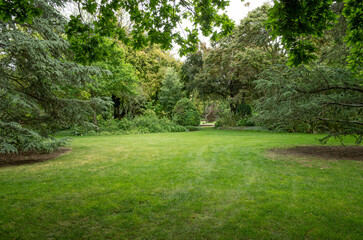 background texture of a vacant grass lawn surrounded by large trees and plants. A shady and cooling environment in a secluded garden with a green outdoor picnic ground. Copy space for design
