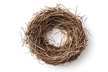 Empty bird nest on white background