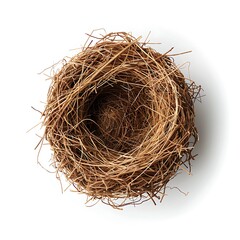 Obraz premium Empty bird nest on white background