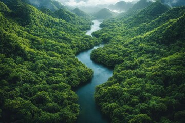 Amazon's Serpentine Symphony: Aerial Photography of Meandering River Carving Through Emerald Rainforest Canopy