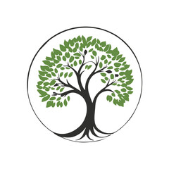 Obraz premium nature tree logo design vector illustration with creative element Premium Vector