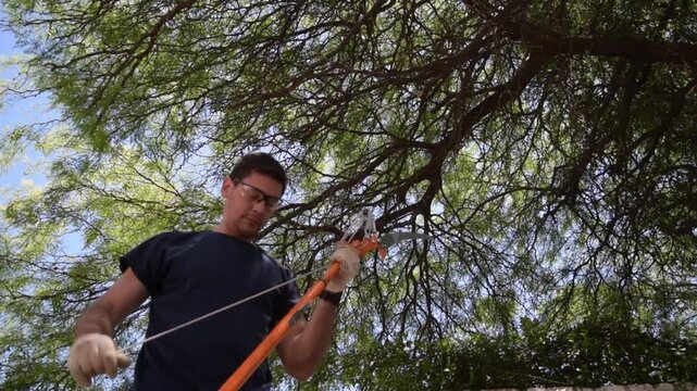 30-year-old Latino male pruner using a handsaw and safety glasses