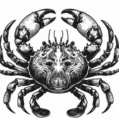 Illustration of a crab