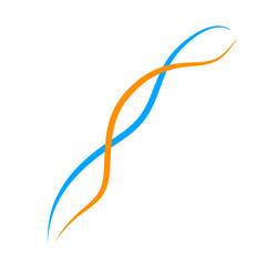 Braided  intertwined lines