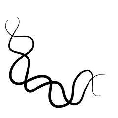 Braided  intertwined lines