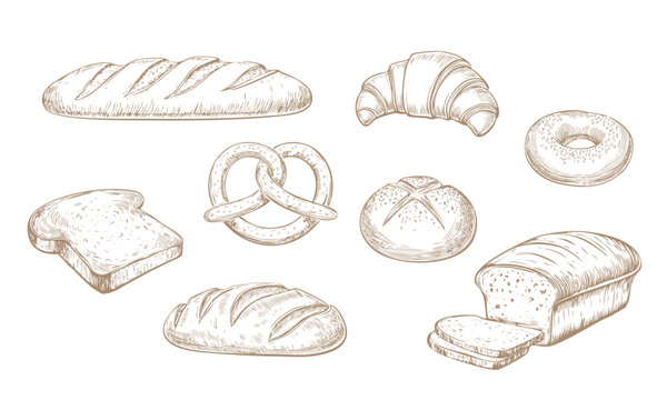 Collection of various types of bread. Pen drawing illustration.  Baguette, croissant, loaf, toast, pretzel, bagel.