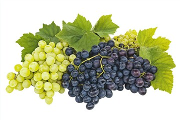 Grapes isolated on background