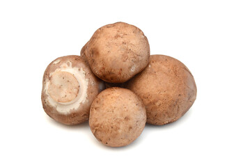 Common mushrooms on white background