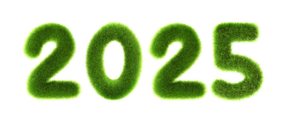 2025 new year grassed concept isolated on white background