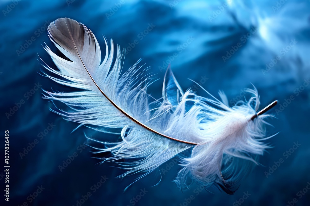 Poster feathers floating in the wind a cluster of feathers floats gentl