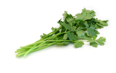 Coriander cilantro leaves isolated on white