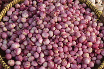 onion