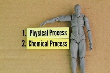 What are the two types of human digestive system? Physical Process and Chemical Process