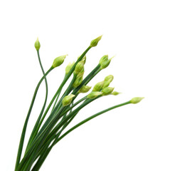 Chives flower or Chinese Chive isolated on white background.