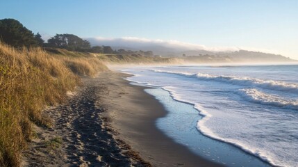 Sandy Beach Shoreline with Foamy Waves and Distant Hills