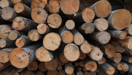Fototapeta premium stack of firewood