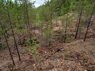 Southern Urals, Bashkir State Nature Reserve: rock dumps at abandoned mines for the extraction of chromite ore under Mount Bashart.