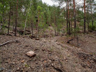 Southern Urals, Bashkir State Nature Reserve: rock dumps at abandoned mines for the extraction of...