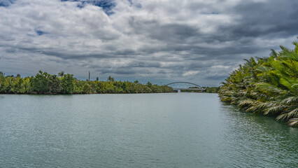 There are thickets of palm trees on the banks of the calm tropical turquoise river. Ahead, above the riverbed, a cable-stayed bridge is visible. Blue sky, clouds. Philippines. Bohol. Loboc River. 