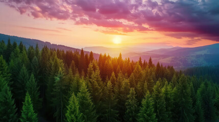 Obraz premium A breathtaking sky view with a sunset casting vibrant colors over a vast forest landscape, the trees stretching into the distance