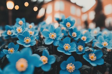 extreme spring wildflowers.