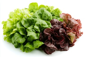 Assortment of fresh green and red lettuce leaves isolated on white background.