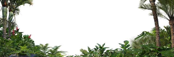 3D render tropical plant foreground on transparent background