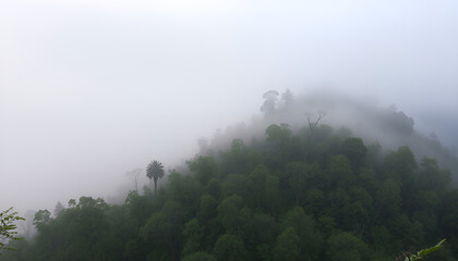 Foggy morning in the mountains, with mist rolling over the tree-lined ridges and a peaceful atmosphere.