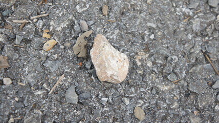 Close-up of Gravel and a Rock