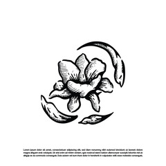 Beauty nature flower petal vector. Hand drawn flower floral sketch art