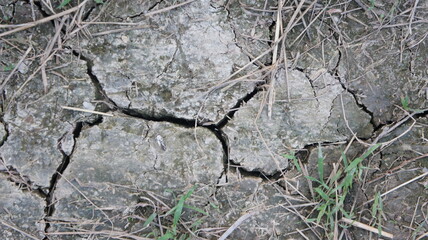 Cracked Dry Soil with Sparse Green Grass