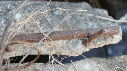 Rusty Rebar Embedded in Concrete with Dried Twigs