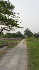 Gravel Path Through Lush Green Foliage and Overcast Sky