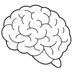 Human brain vector line art illustration