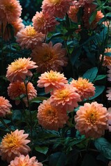 Fototapeta premium Bunch of orange flowers with green leaves