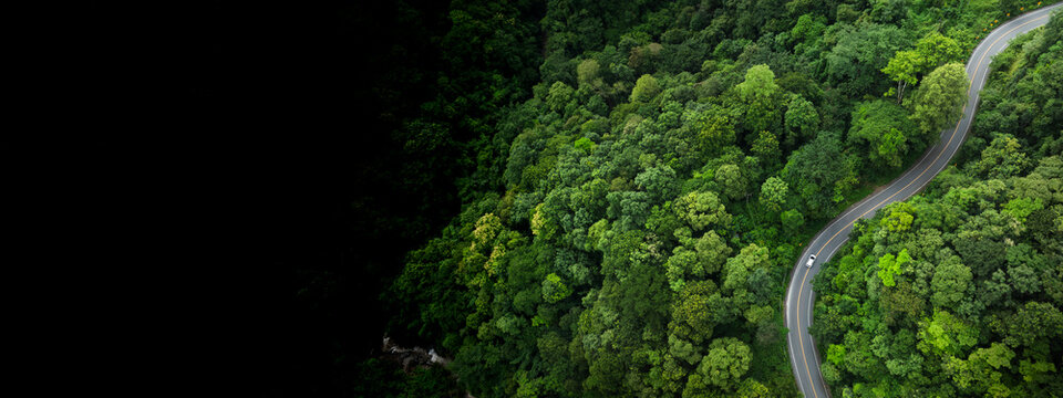  Rainforest ecosystem and healthy environment concept, Road in the middle of the forest Concept of using electric cars to protect the environment and transportation electric vehicle driving on asphalt - Powered by Adobe