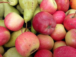 Background of delicious fresh juicy fruits. Apples and pears. Background of red apples and green pears. Gardening and fruit set.